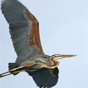 Briere Regional Park, France