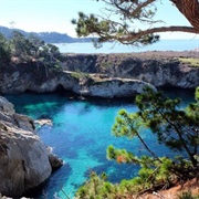Point Lobos, Carmel, California