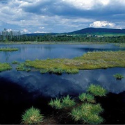 Šumava National Park