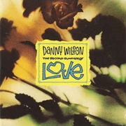The Second Summer of Love - Danny Wilson