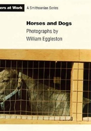 Horses and Dogs (William Eggleston)