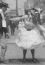 What Happened on 23rd Street, New York