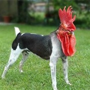 I'm in That Weird Part of YouTube