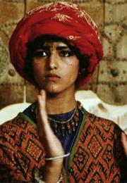 Wanderers of the Desert