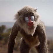 Rafiki