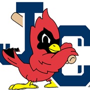 Johnson City Cardinals (R)