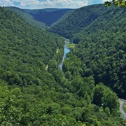 Grand Canyon of Pennsylvania