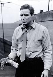 Marlon Brando - On the Waterfront
