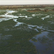Kafue Flats Wetlands of Zambia