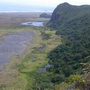 Akarana Trail Coast to Coast