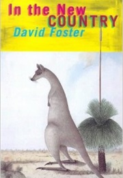 In the New Country (David Foster)