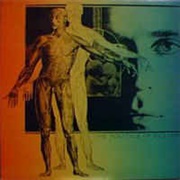 Magic Mushroom Band -  the Politics of Ecstacy