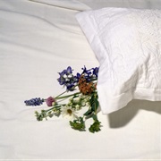 Flowers Under the Pillow
