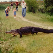 Creole Nature Trail