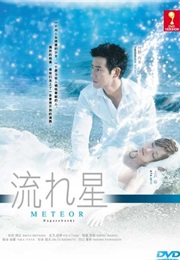 Shooting Star / Nagareboshi (2010)