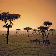 Savanna Climate