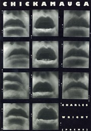 Chickamauga (Charles Wright)