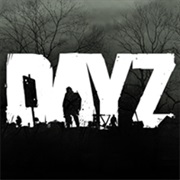 Day Z (2013)
