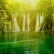 Pico Bonito National Park, Honduras