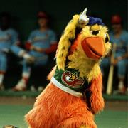 Witnessed the San Diego Chicken in Action