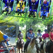 Cable Bay Adventure Park