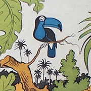 The Blue Toucan
