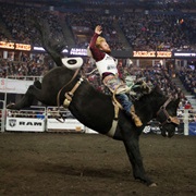 Canadian Finals Rodeo