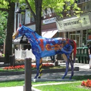 Sarasota Springs, New York