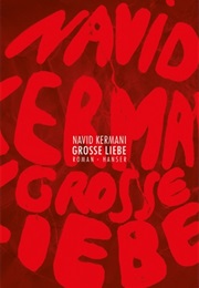 Große Liebe (Navid Kermani)