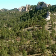 Nebraska National Forest
