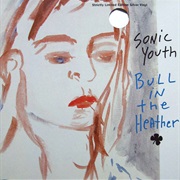 Bull in the Heather - Sonic Youth