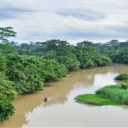 Comoe National Park, Ivory Coast