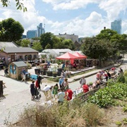 Spitalfield City Farm