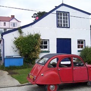 Visiting Falkland Islands