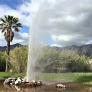 Calistoga Geyser