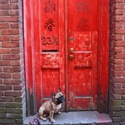 Fan Tan Alley, Victoria, British Columbia