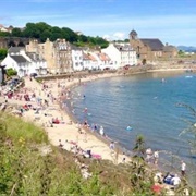 Kinghorn