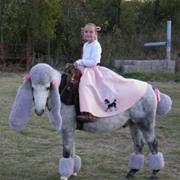 Horse Fancy Dress