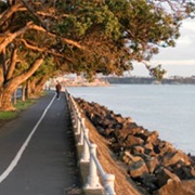 Auckland Waterfront Walk to Mission Bay - Very Easy (1Hour 30 Mins)