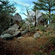 Kings Mountain State Park, South Carolina