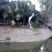 Rajshahi Zoo, Bangladesh