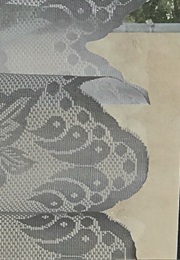 Books (Rita Mae Brown)