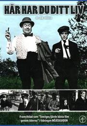 Here's Your Life (Jan Troell)