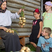 Ukrainian Cultural Heritage Village