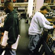 Endtroducing