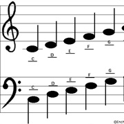 Learn How to Read Music