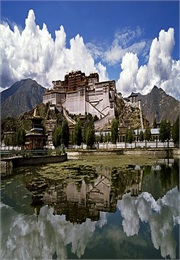 The Baby and the Budha (2009)