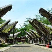 Tana Toraja