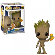 Groot Holding Crystal