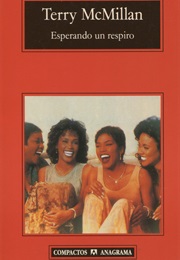 Esperando Un Respiro (Terry MacMillan)